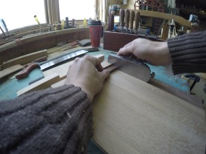 DCIM100GOPROG0233268.